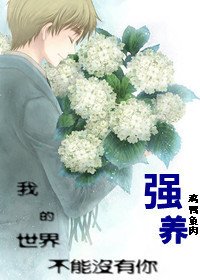年少/強養