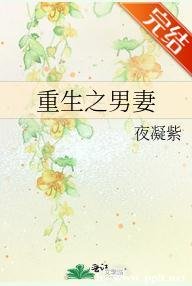 重生之男妻
