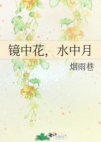 镜中花,水中月