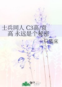 士兵同人 C3高/袁高 永遠是個秘密